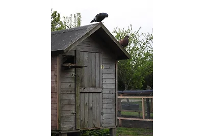 Hof Rüsch - Ferienhaus cottage