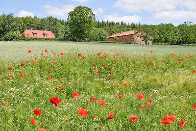 Gut Immenhof - Fewo 2