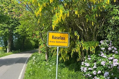 Gut Koselau Stellplatzwiese