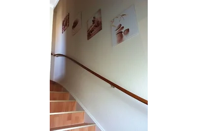 Ferienhaus 8822 in Tossens