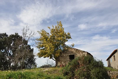 Quinta da Encavalada