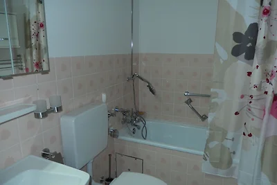 Vakantieappartement Gezinsvakantie Todtmoos