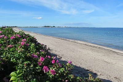 Ferienhaus Strandperle