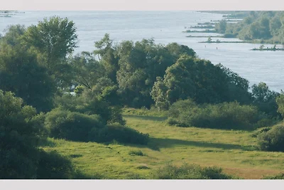 Tiny House im Grünen (201) -