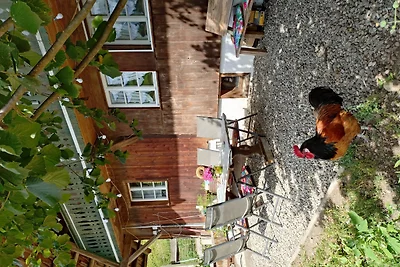 Ferienwohnung am Belchen