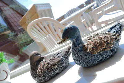 Fewo Klotz - Strandübergang Käptn