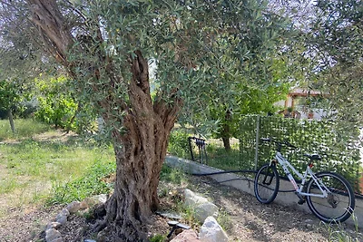 Vakantieappartement Gezinsvakantie 