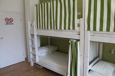 Bed in 12-Bed Mixed Dormitory Room