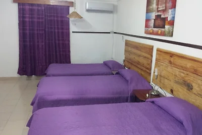 Casa Jorge y Alicia Appartement 3