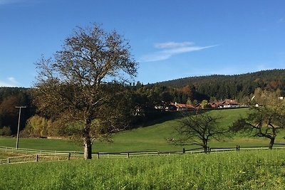 Ferienwohnung Hauzenberg Blick