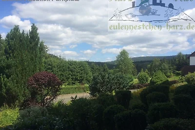 Fewo Eulennestchen-Harz S.1 für