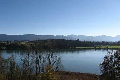 Ferienhaus Nr. 46, Kategorie