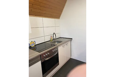 Ferienhaus direkt am Deich