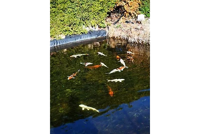 Appartamento Vacanza con famiglia Spremberg