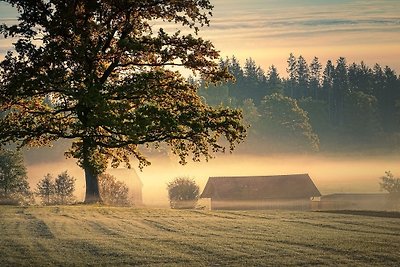 Söhredomizil Kaufunger Wald -