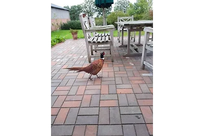 Hof Rüsch - FeWo Diekskamp