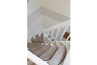 "Wohnung Sünnenkäfer"