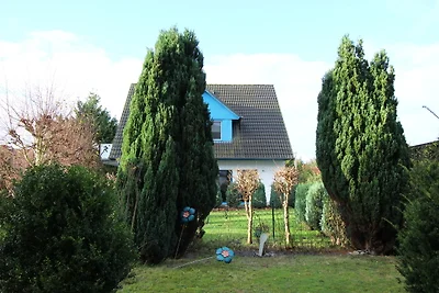 Kranich