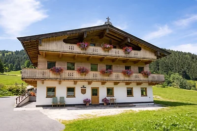 Mauerhof Top 2 Appartement mit 2