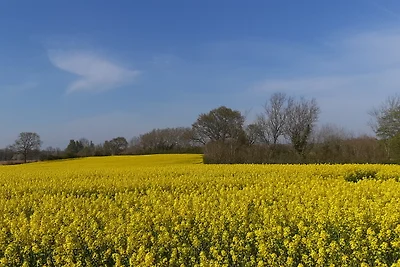 Vakantiehuis Ontspannende vakantie Brekendorf