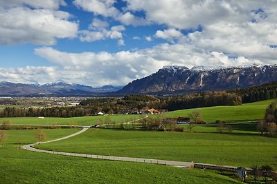 Luxus-Appartement Salzburgblick