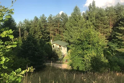 Ferienhaus in ruhiger Natur/Danzig⭐