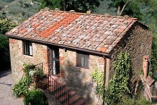 LA CASA POGGIOLO-Rosmarino-