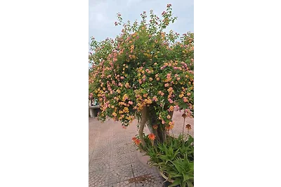 Casa Mery