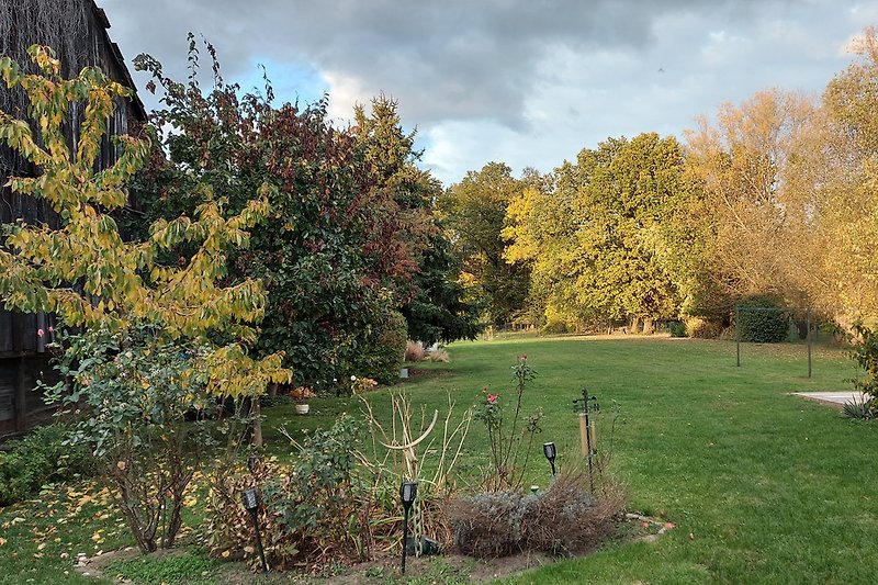 Blick von der Terrasse im Herbst