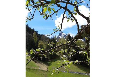 Bergmomente Montafon Bitschweil