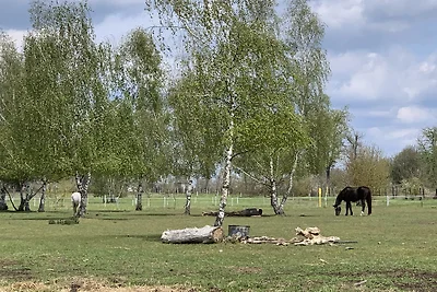 Ferienhaus-An der Havel.de