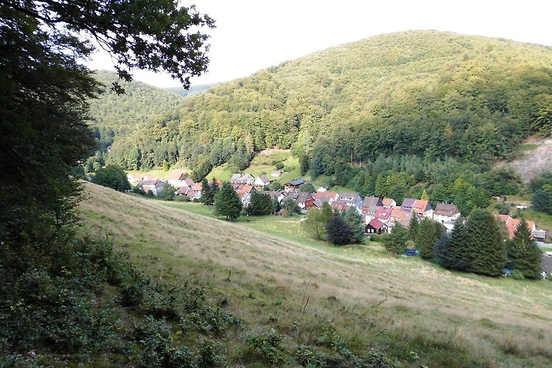 Eingebettet zwischen Wald und Wiesen liegt unser idyllischer Ort Lonau