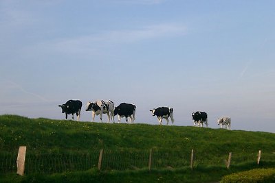 Romantiek op de dijk