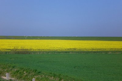 Romantiek op de dijk