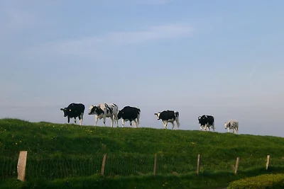 Fischerkate am Deich N‘siel