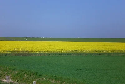 Fischerkate am Deich N‘siel