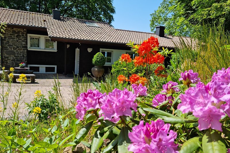 Blick zum Haus vom Rhododendrongarten