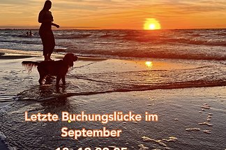 Super vakantiehuis