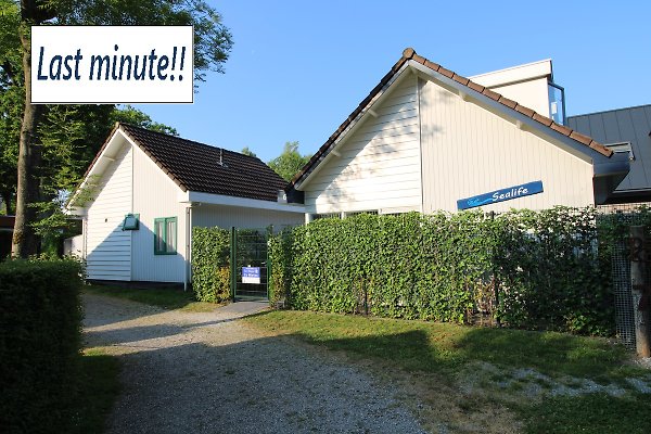 Ferienhaus Zoutelande