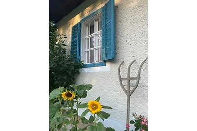 Varm - the vegan Farm - der bio vegane Lebenshof für Mensch und Tier