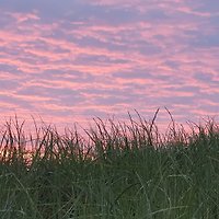 Dhr. R. Coördinator voor de 4 huizen.