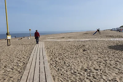 DE ZON IN STEE AAN ZEE
