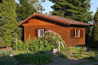 Toller Kurzurlaub: Geweldige korte vakantie.