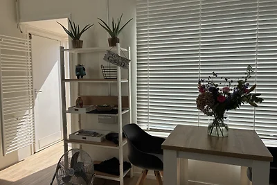 Zomerhuis  Zilt