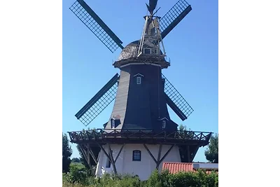 Ferienhaus Zur Mühle Nordseeküste