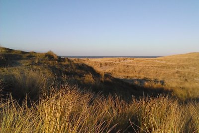 Ferienhaus Strandperle Delia