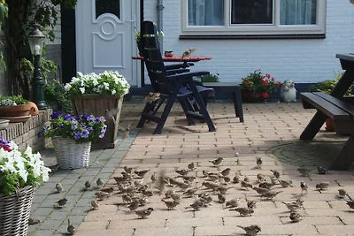Zomerhuis Ab en Joke van Dam