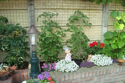 Zomerhuis Ab en Joke van Dam