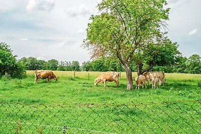 Ferienhaus Alt-Gaarz