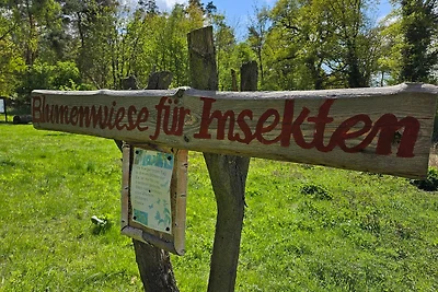 Vakantieappartement Gezinsvakantie Wendisch-Priborn